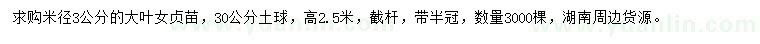 求購米徑3公分大葉女貞
