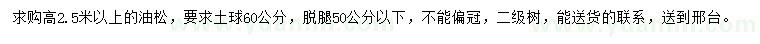 求購高2.5米以上油松