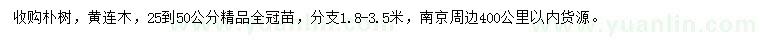 求購25-50公分樸樹、黃連木