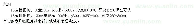求購(gòu)10、15公分枇杷樹(shù)