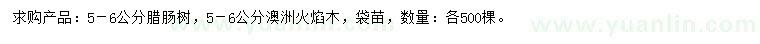 求購5-6公分臘腸樹(shù)、澳洲火焰木