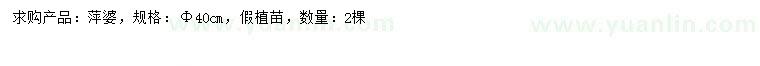 求購40公分萍婆