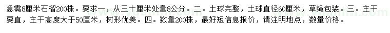 求購30公分量8公分石榴樹