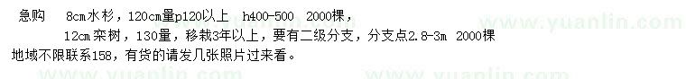 求購8公分水杉、12公分欒樹(shù)