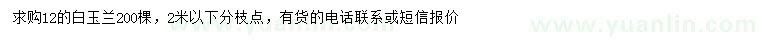 求購12公分白玉蘭