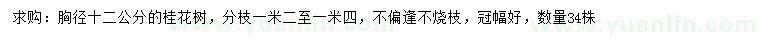 求購胸徑12公分桂花樹