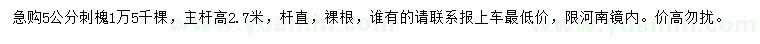 求購5公分刺槐