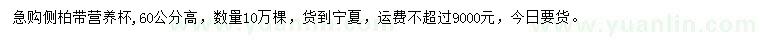 求購(gòu)高60公分側(cè)柏