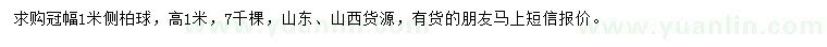 求購(gòu)冠幅1米側(cè)柏球