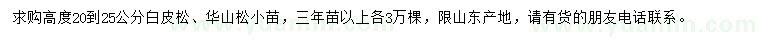 求購高20-25公分白皮松、華山松小苗