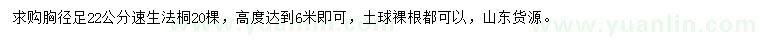 求購胸徑足22公分速生法桐