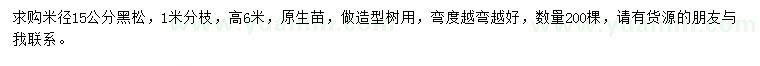 求購米徑15公分黑松