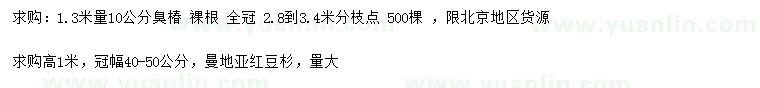 求購(gòu)1.3米量10公分臭椿、高1米曼地亞紅豆杉