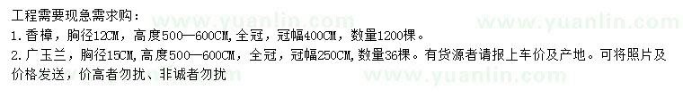 求購胸徑12公分香樟、胸徑15公分廣玉蘭