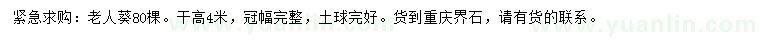 求購(gòu)桿高4米老人葵