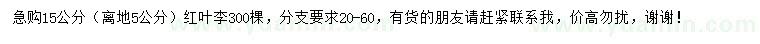 求購5公分量15公分紅葉李