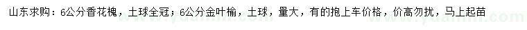 求購(gòu)6公分香花槐、金葉榆
