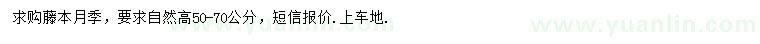 求購(gòu)高50-70公分藤本月季