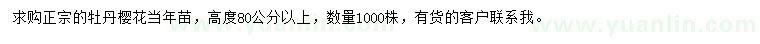 求購(gòu)高度80公分以上牡丹櫻花
