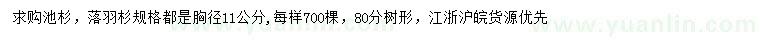 求購胸徑11公分池杉、落羽杉