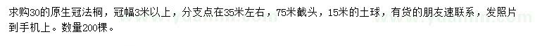 求購30公分法桐