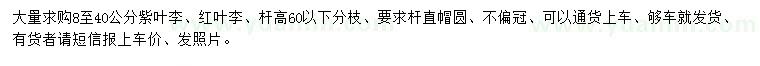 求購8-40公分紫葉李、紅葉李