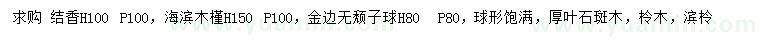 求購結(jié)香、海濱木槿、金邊胡頹子球等