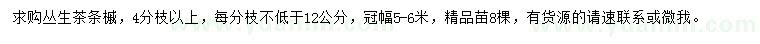 求購冠幅5-6米叢生茶條槭