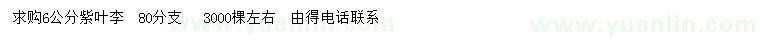求購6公分紫葉李