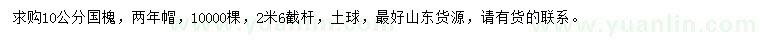 求購10公分國槐