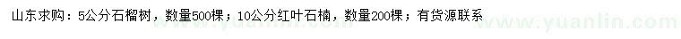 求購5公分石榴樹、10公分紅葉石楠