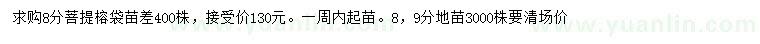 求購8、9公分菩提榕