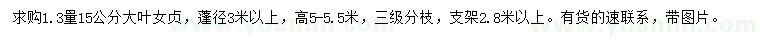 求購1.3量15公分大葉女貞