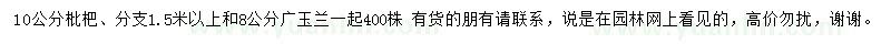 求購10公分枇杷、8公分廣玉蘭