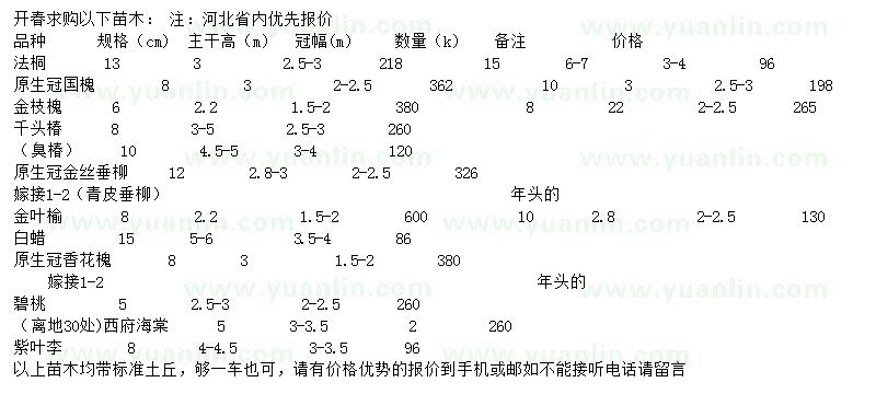求購(gòu)法桐、國(guó)槐、金枝槐等
