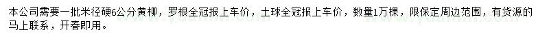 求購米徑6公分黃柳