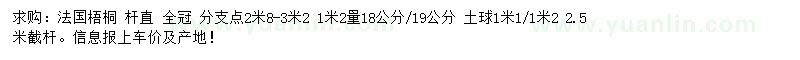 求購18、19公分法國梧桐
