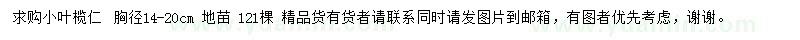 求購胸徑14-20公分小葉欖仁
