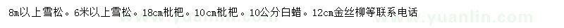 求購(gòu)雪松、枇杷、白蠟等