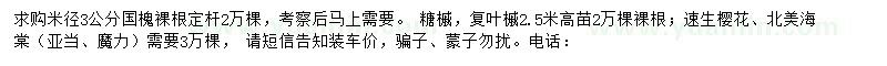 求購國槐、糖槭、復葉槭