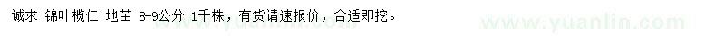 求購(gòu)8-9公分錦葉欖仁