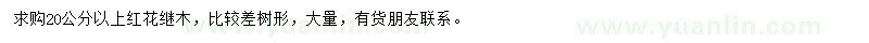 求購20公分以上紅花繼木