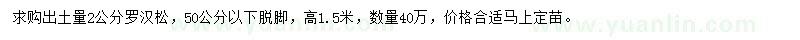 求購(gòu)2公分羅漢松
