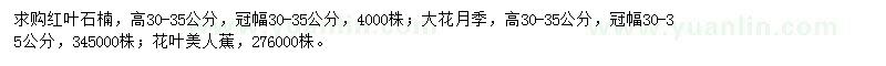 求購紅葉石楠、大花月季、花葉美人蕉