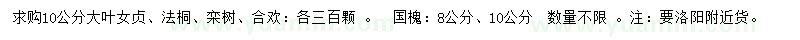 求購大葉女貞、法桐、欒樹等