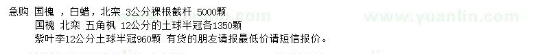 求購國槐、白蠟、北欒等