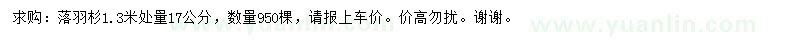 求購1.3米處量17公分落羽杉
