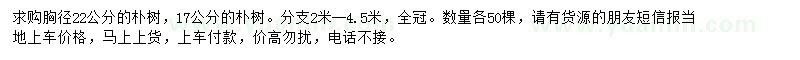 求購胸徑17、22公分樸樹
