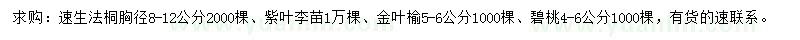求購速生法桐、紫葉李、金葉榆等