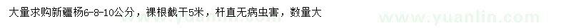 求購6-10公分新疆楊